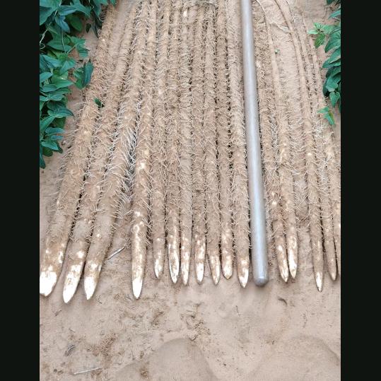 开彊拓土，运筹帷幄