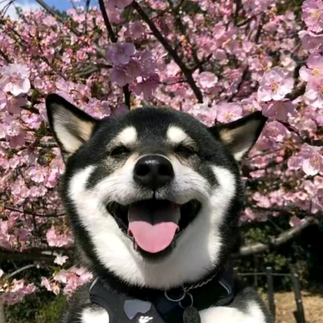 XXJ可乐