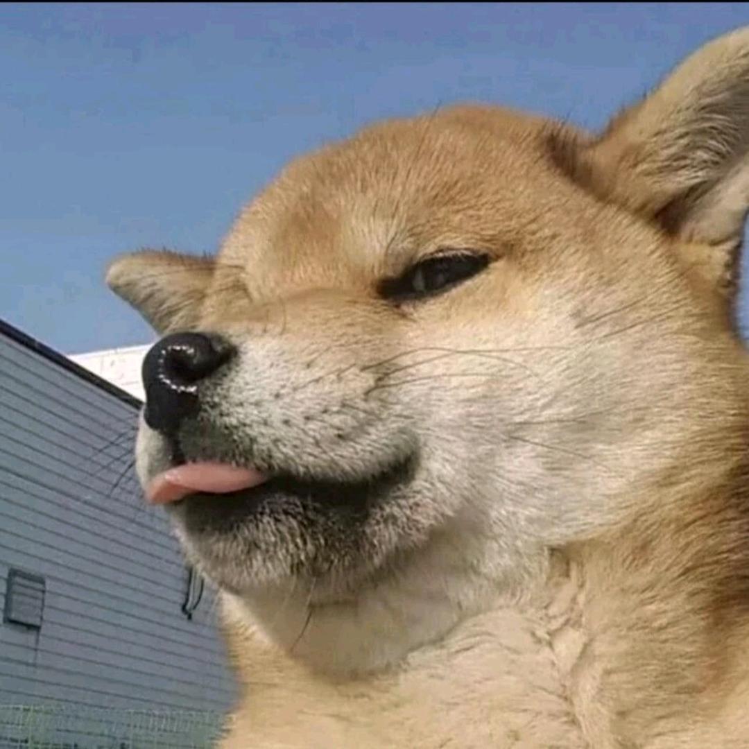 嗨汁颜