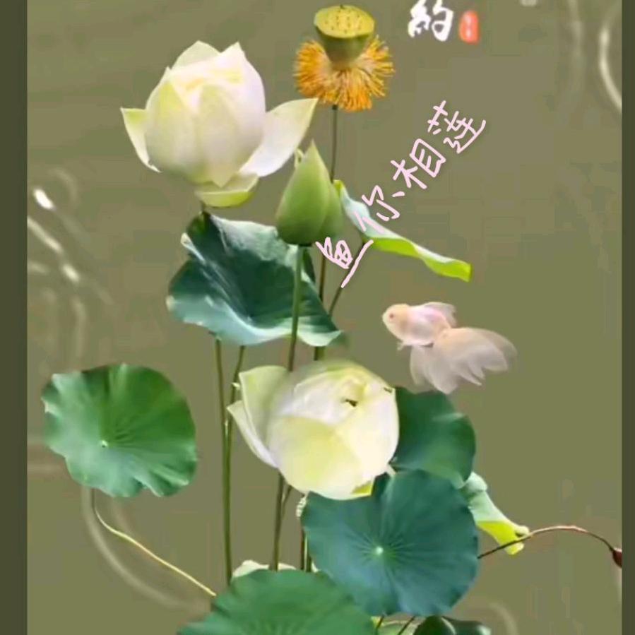 馨春