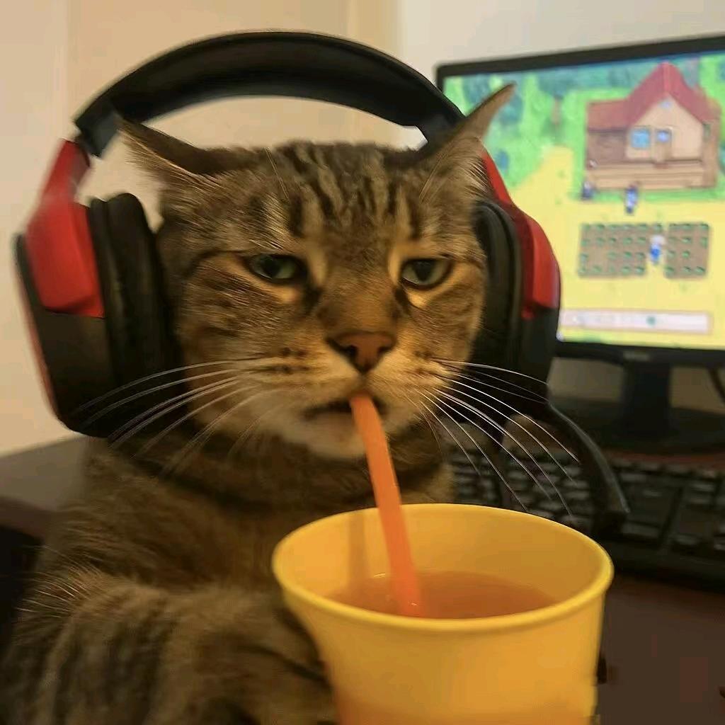 栩栩（三角洲行动）