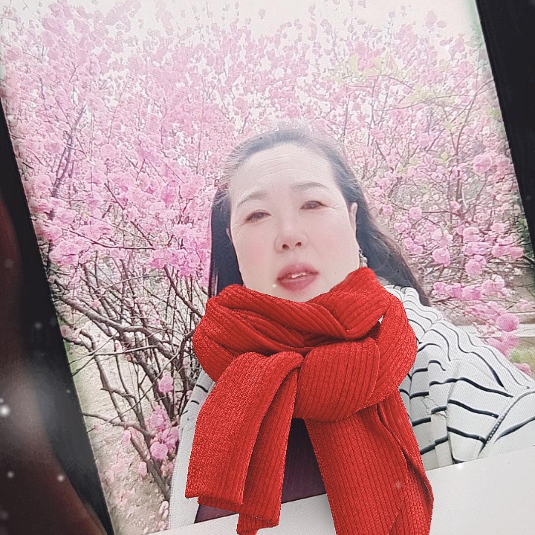 月亮🌙