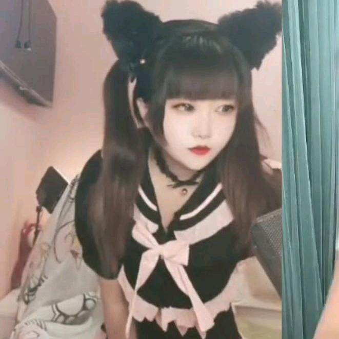 痞猫