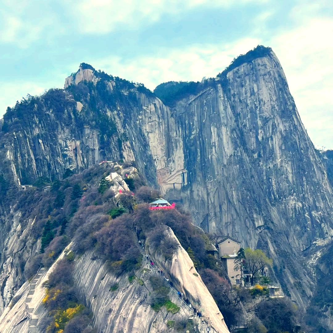 华山牛🐂人逛长安，抖音
