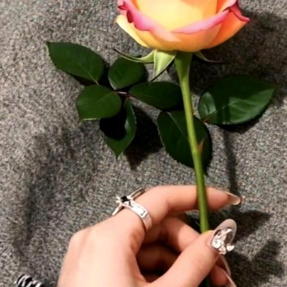 愿得一人心，白首不分离