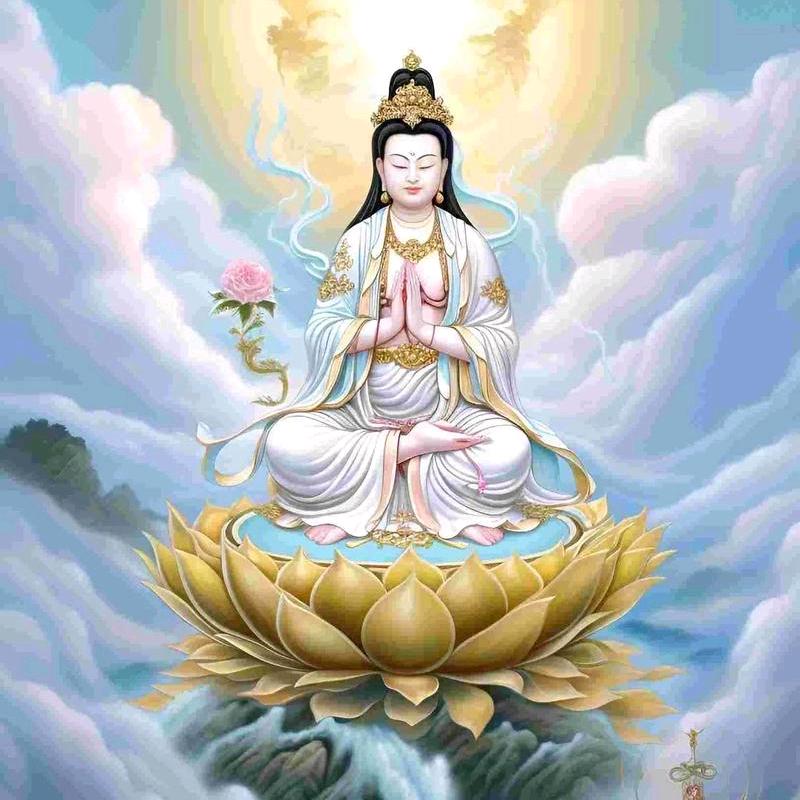 皖D二哥（ت狂神）