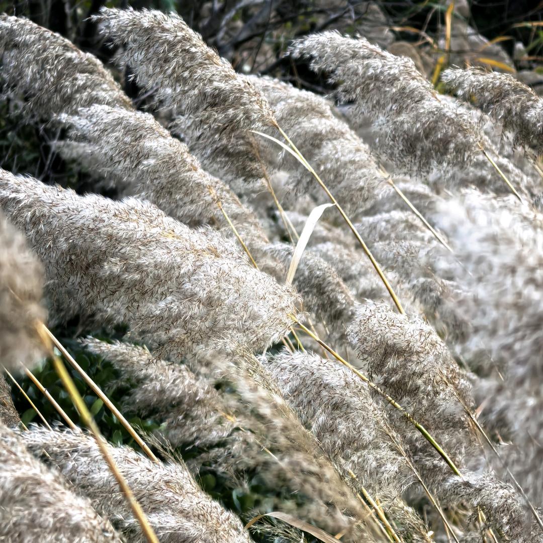 原一练字工作室