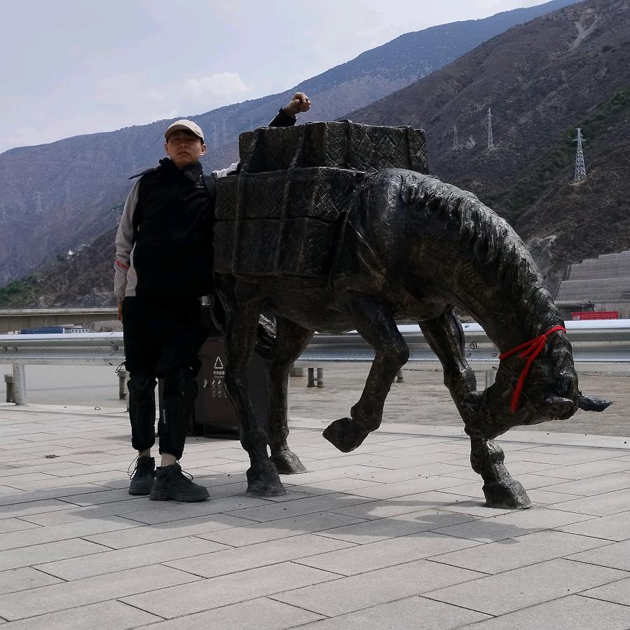 我是豆豆我不逗