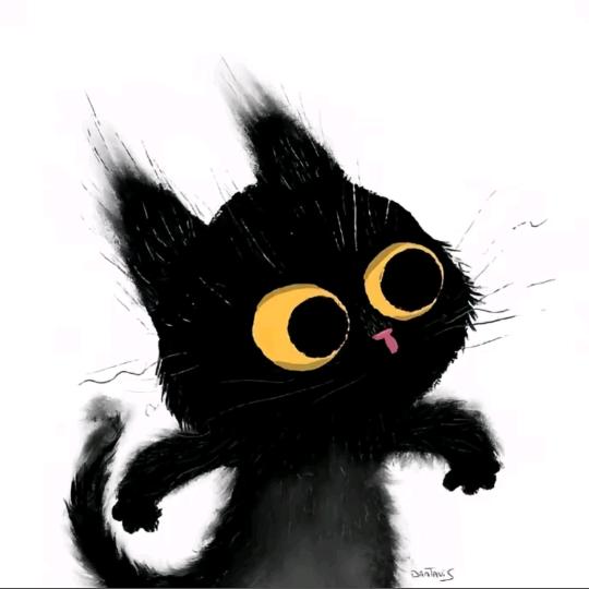 暴走的猫