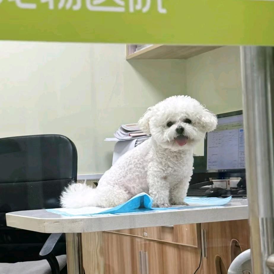 清如水，明如玉