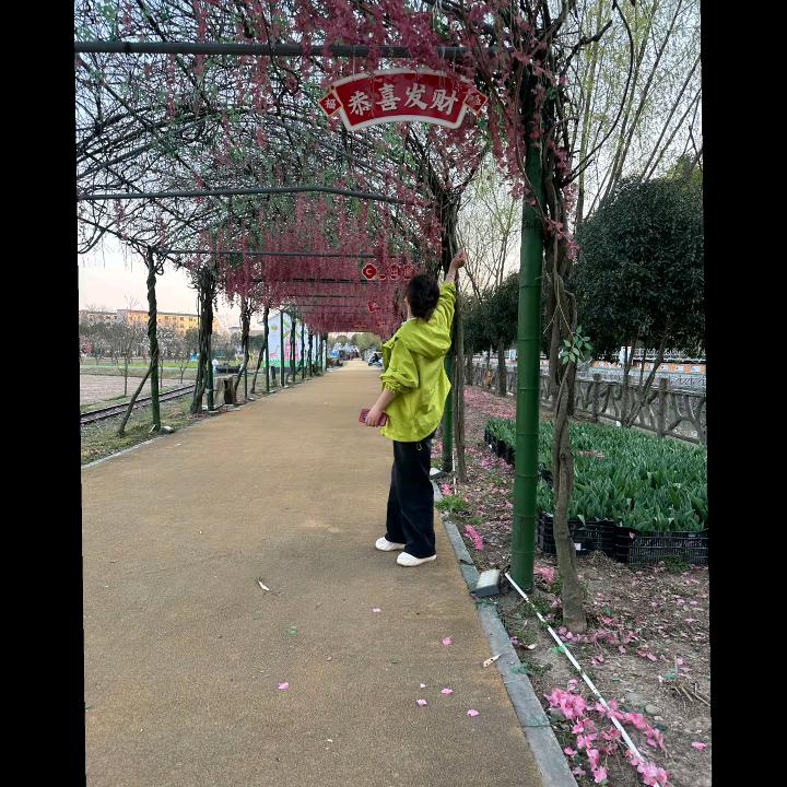 🌹👑小幸运（*。～～