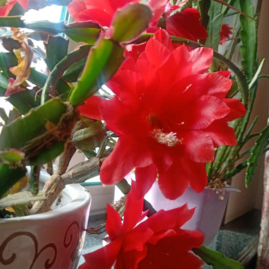 开心快乐每一天