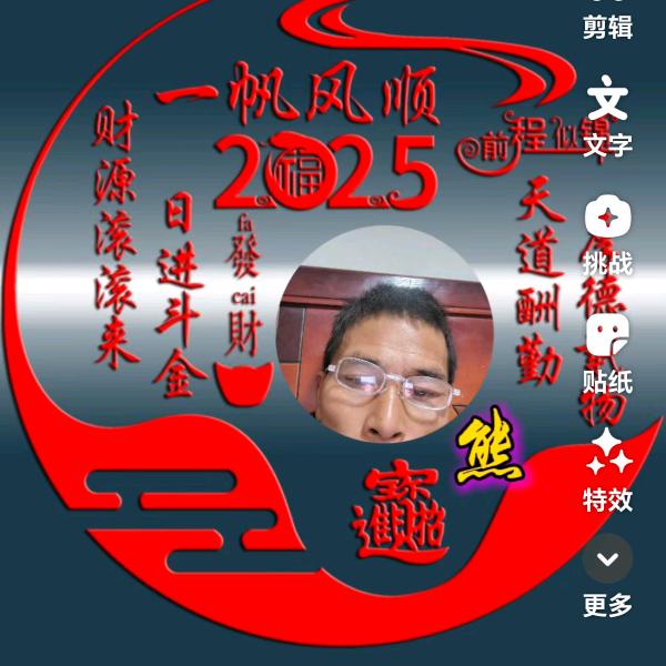 阳光下的北极熊