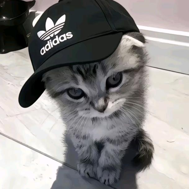 下辈子还要看南通头像