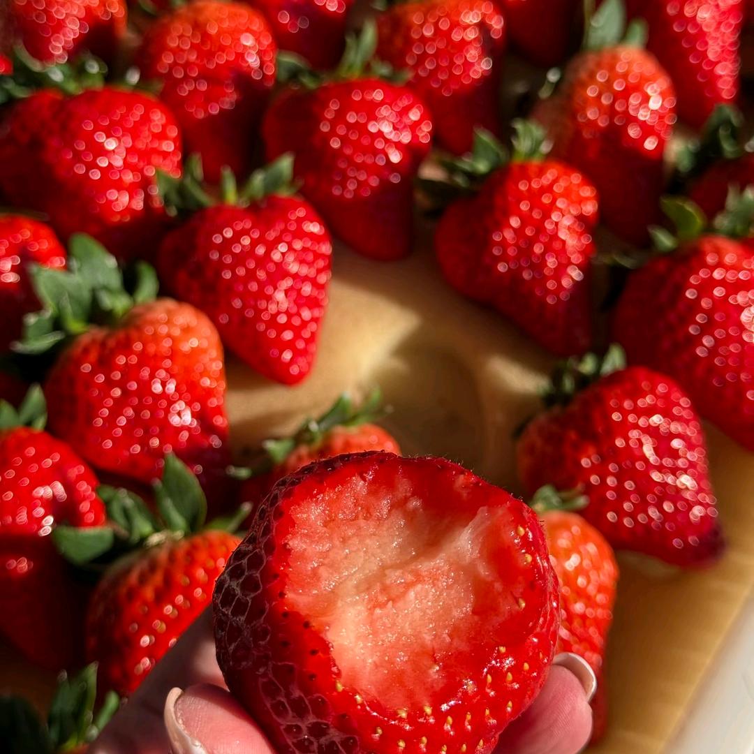 丹东草莓供应链