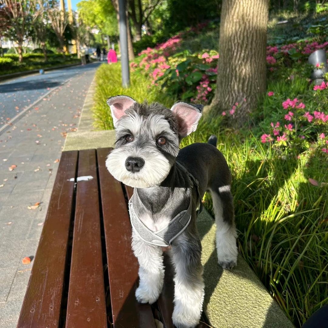 心❤️赵不宣