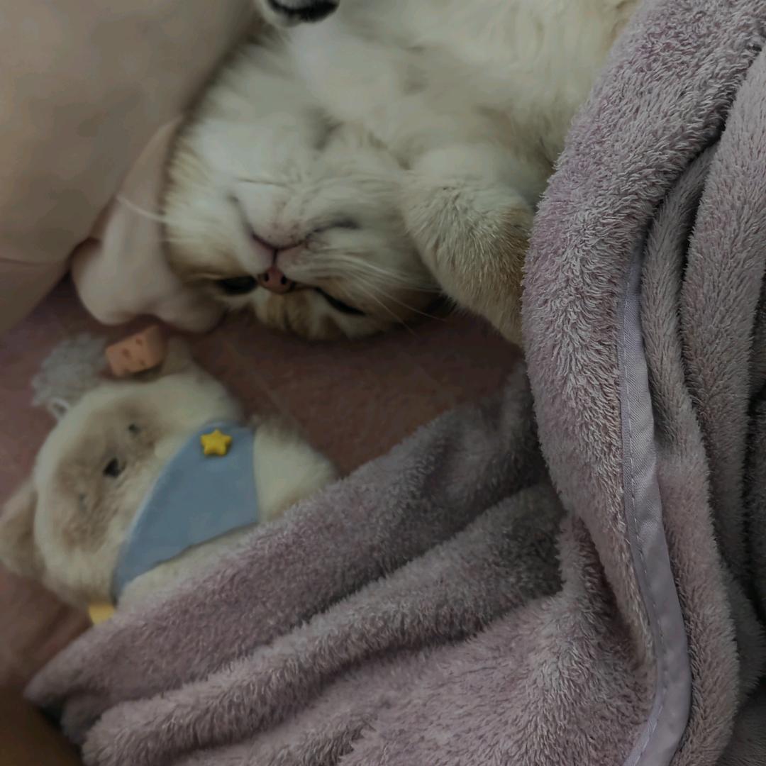 不想等