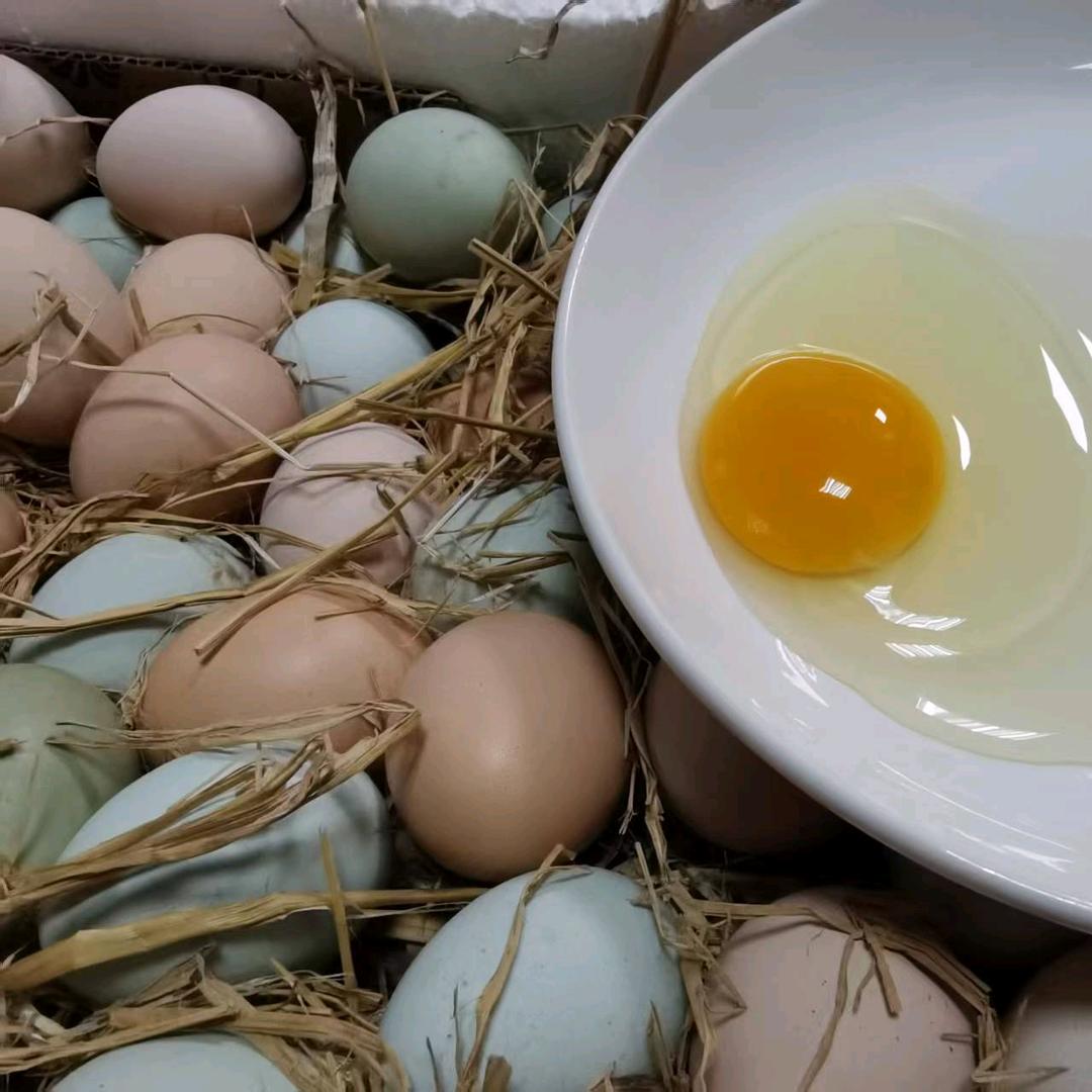 高品质土鸡蛋批发