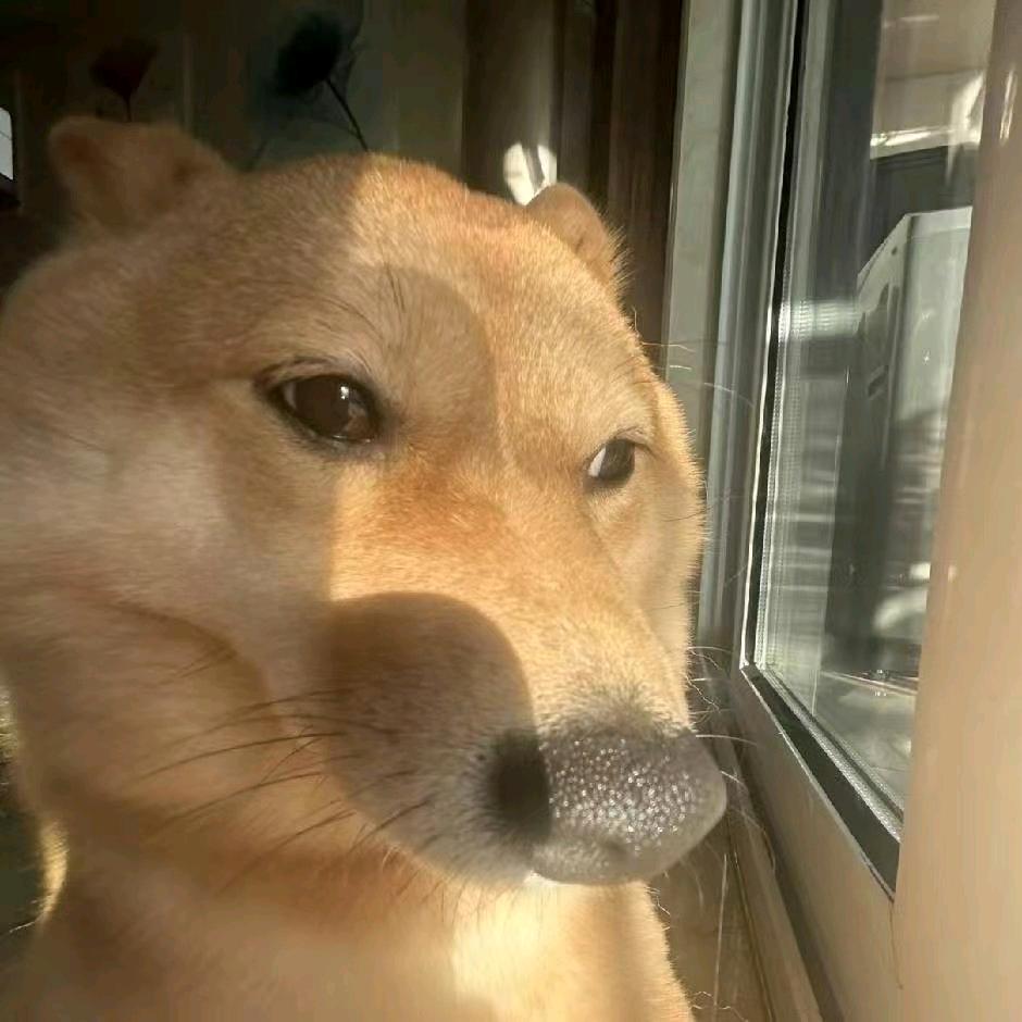 余念安
