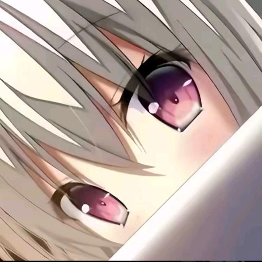 Y    Y