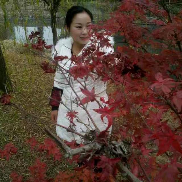 丽丽