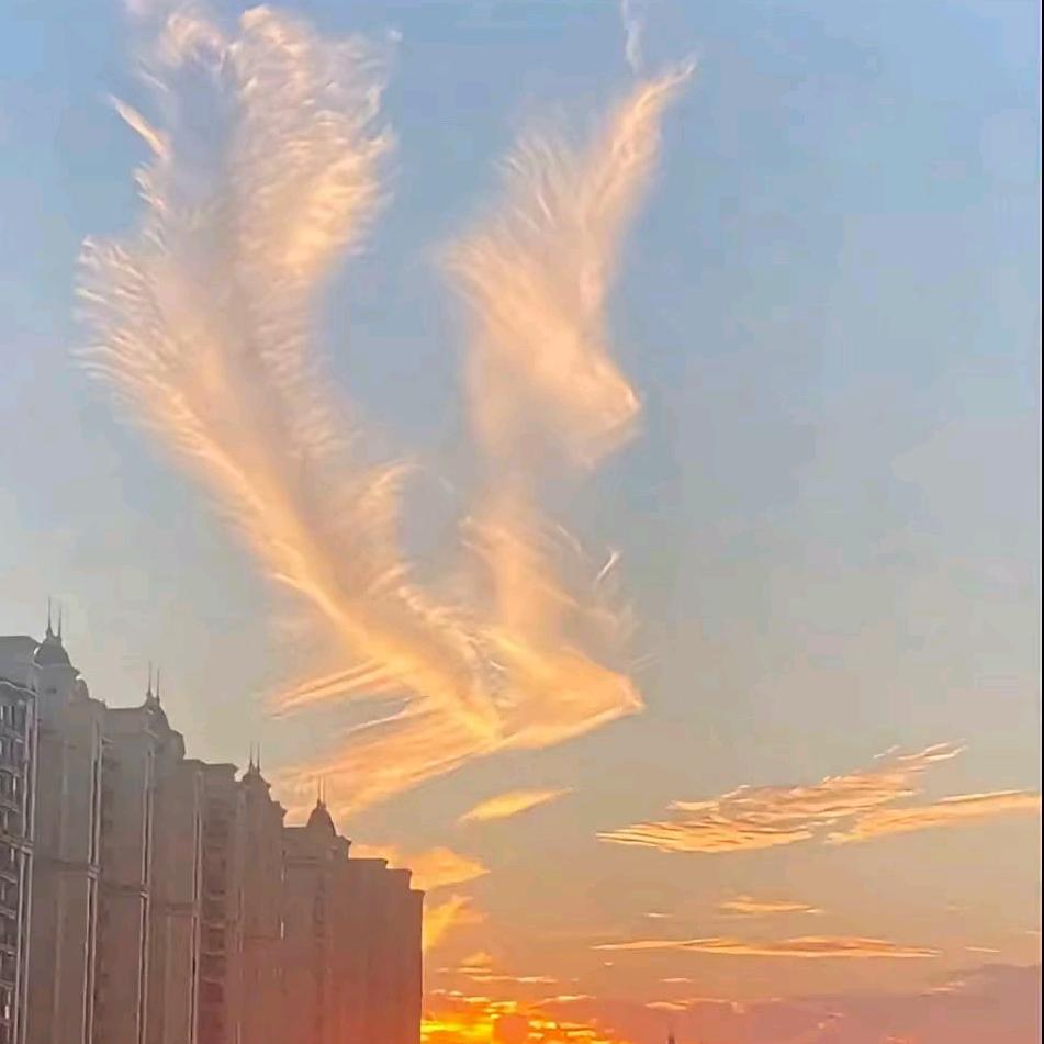 一码四敌