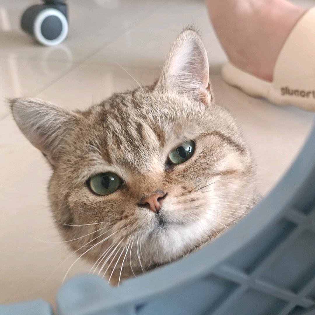 殷李李李李李李