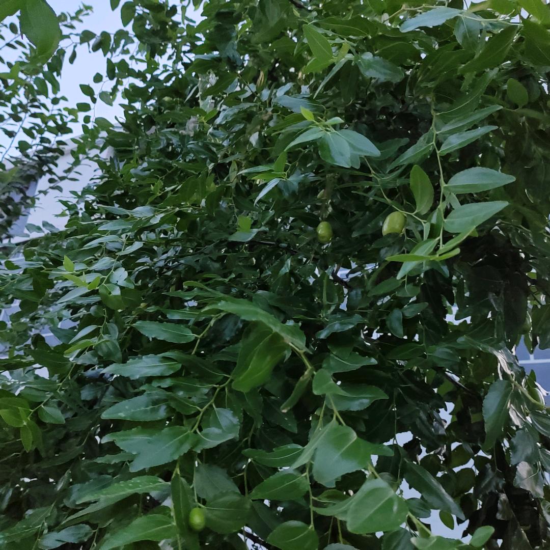 水流高山