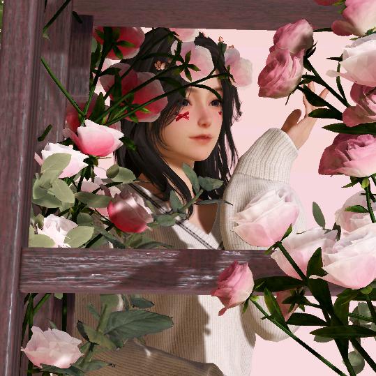 香菜味的小番茄