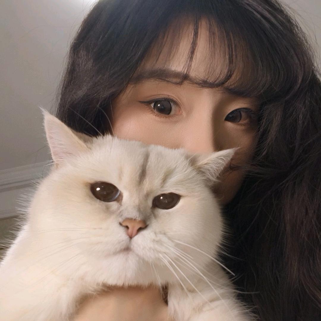 能量满满张老板