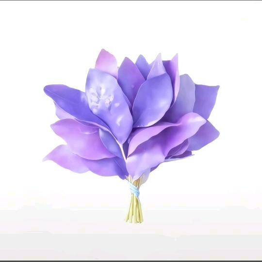 招财进宝—小茹