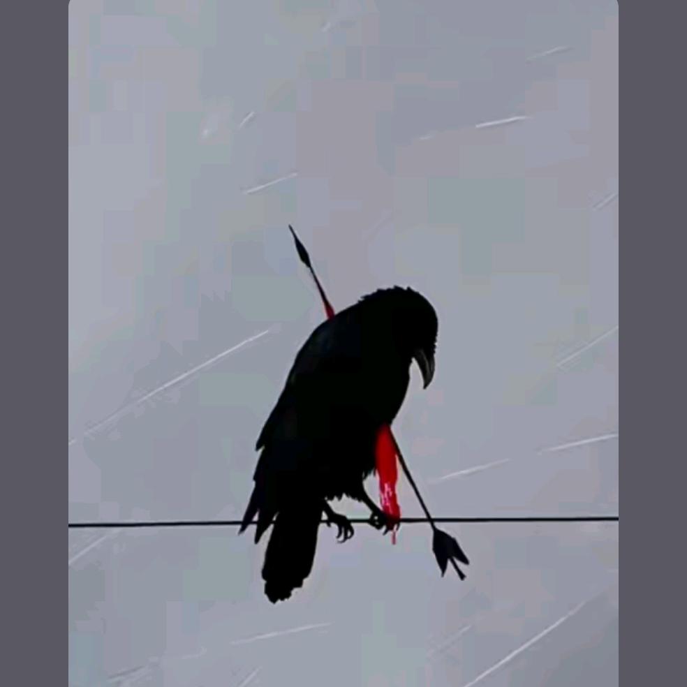 寻找亲人<请不要连赞>