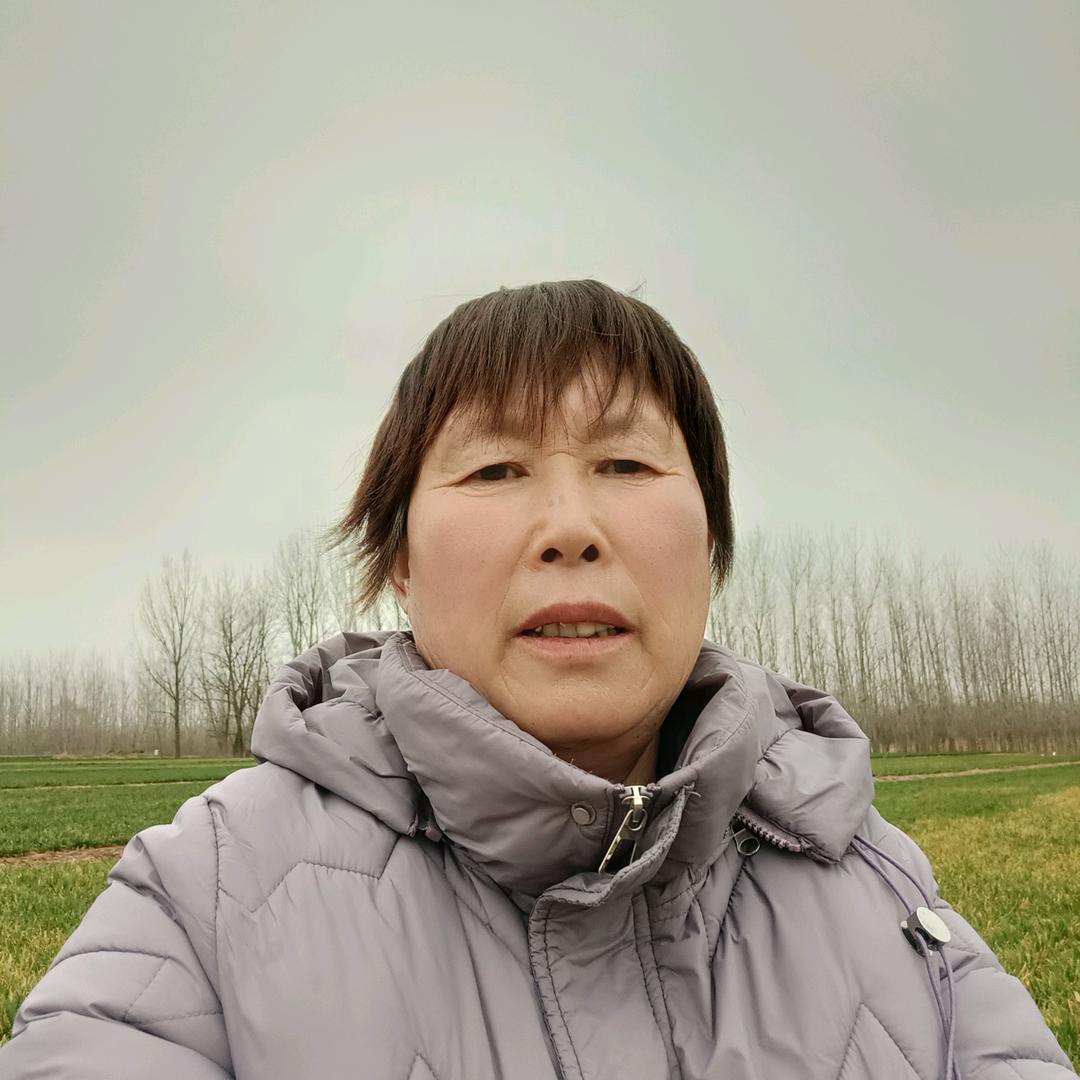 硕硕奶奶(下午1:50开播)