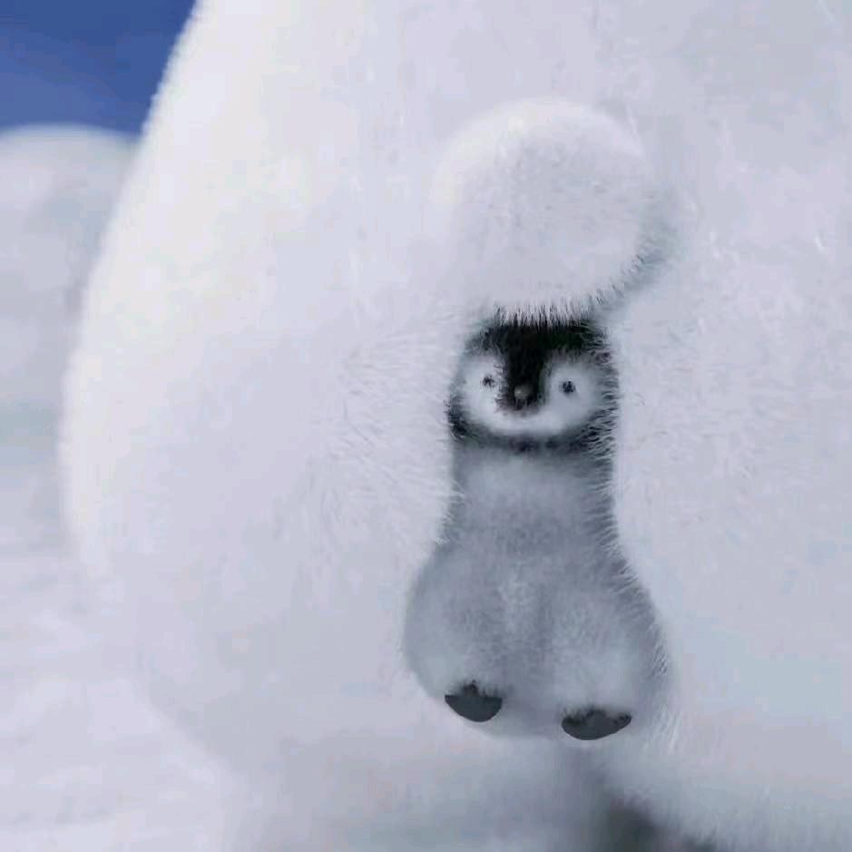 想进部了