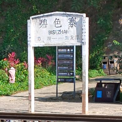 忧郁的台湾乌龟头像