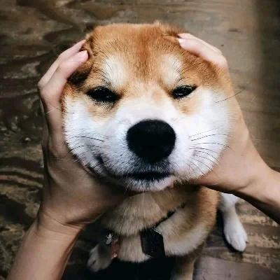 疯子