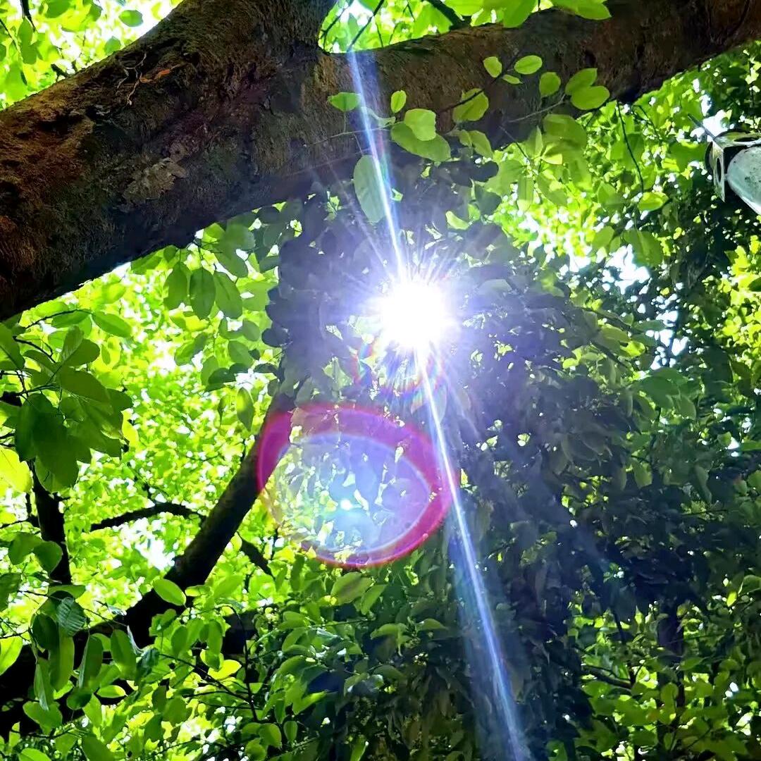 账户已不存在