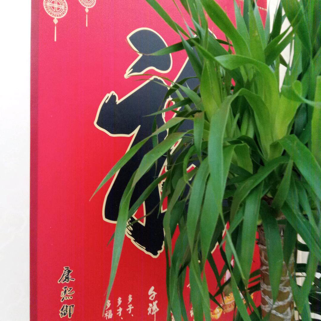 咏梅