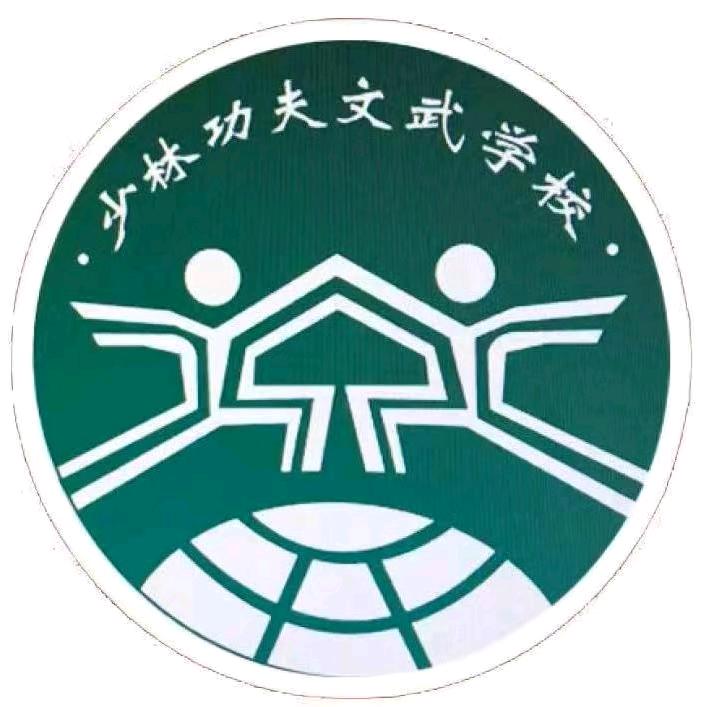 少林功夫大王老师