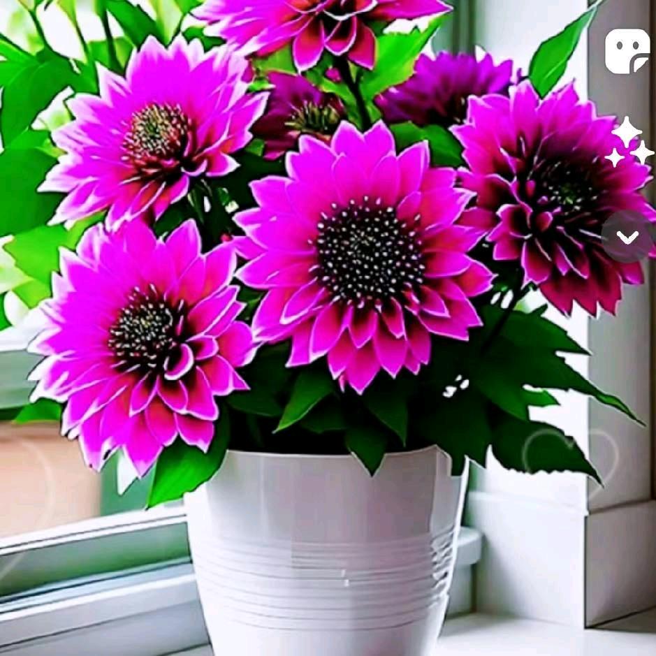 悦海会所🌷8号🍒