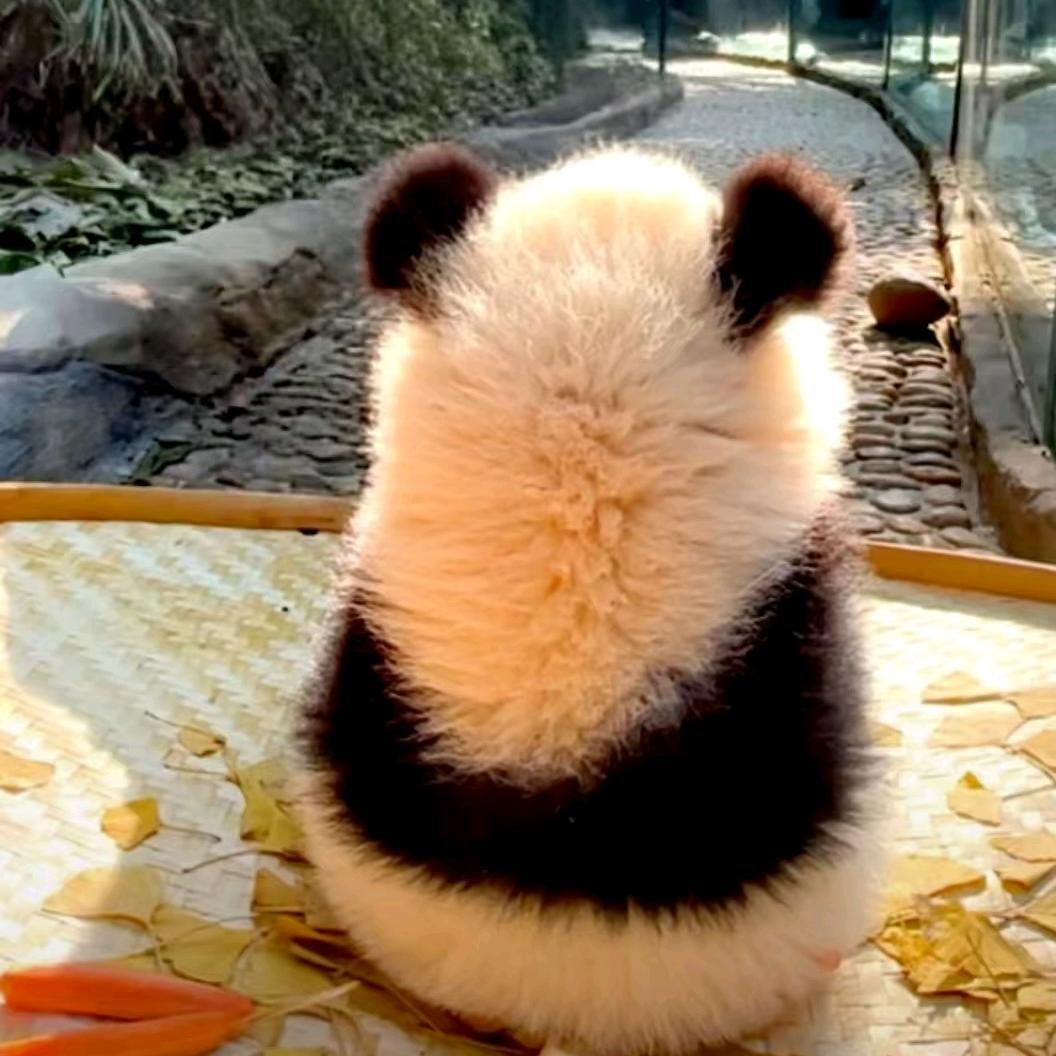 黄煮厨