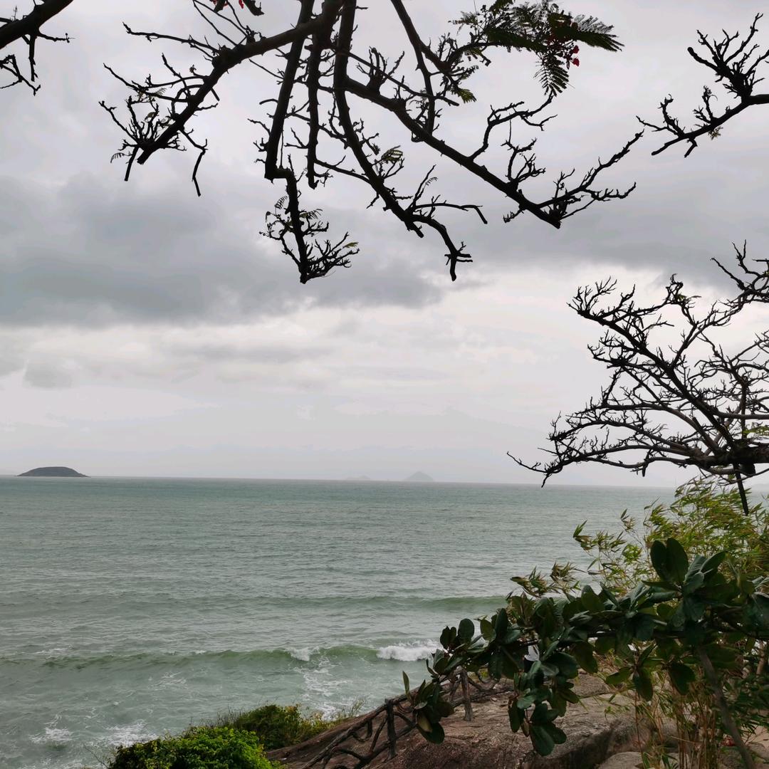 烟雨斜阳