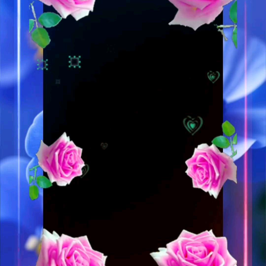 杨？。。？？？？？