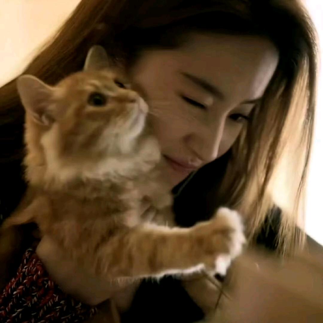 ᵂˣʸ少一点落空°🍔