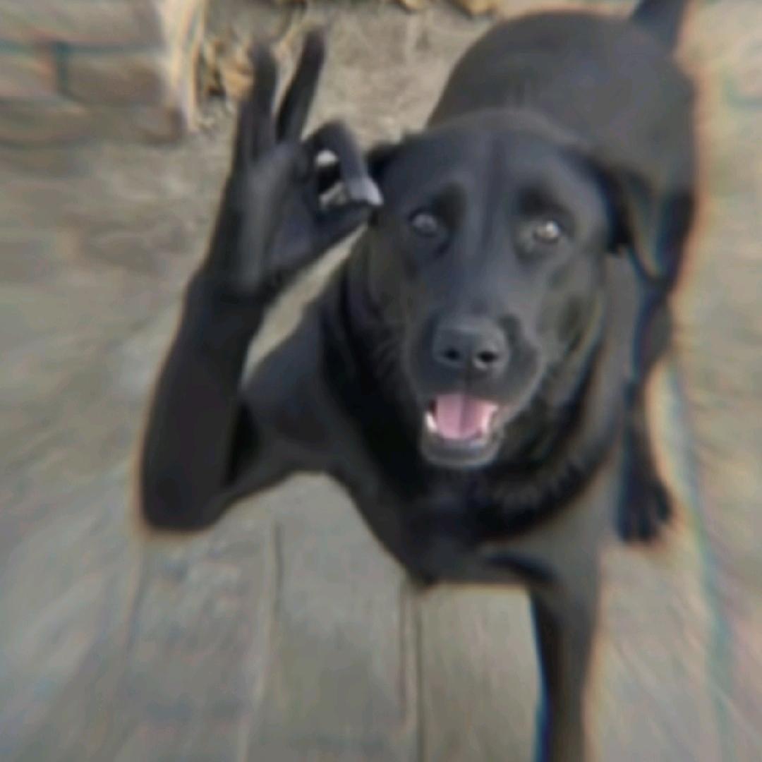 隔壁黄毛说 爆炸就是艺术🇻