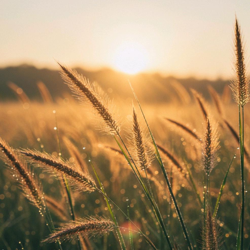 承德今日智学教联体