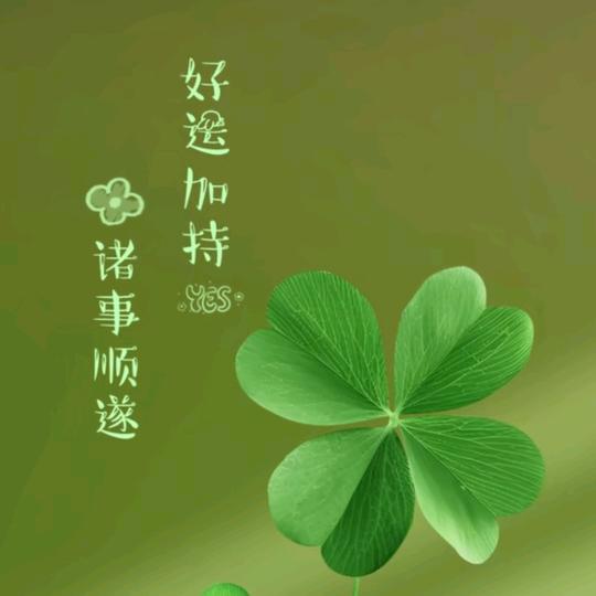 天若有情🧡ྀི💛ྀི❤️ྀི