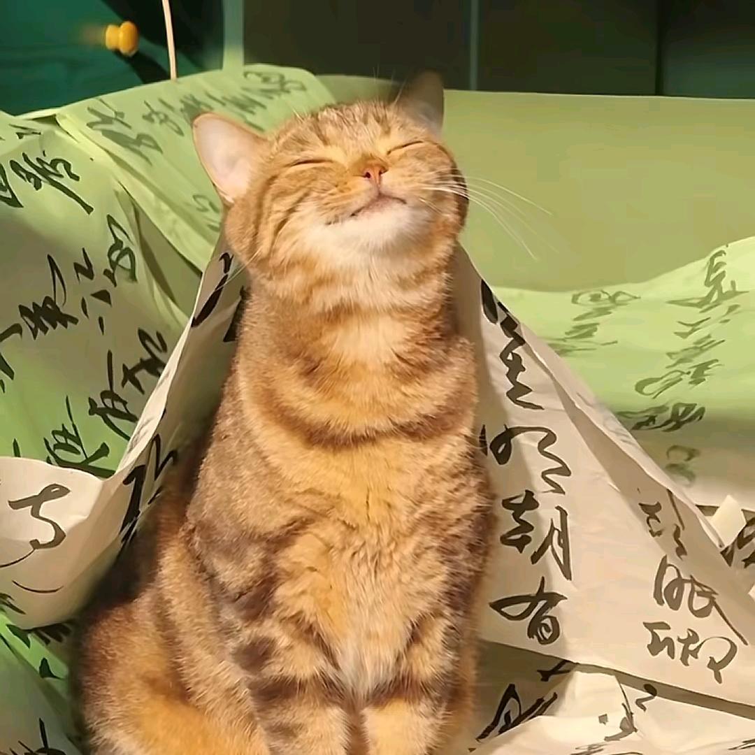 嘻嘻.
