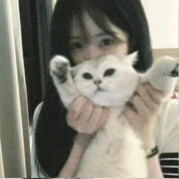 何小美