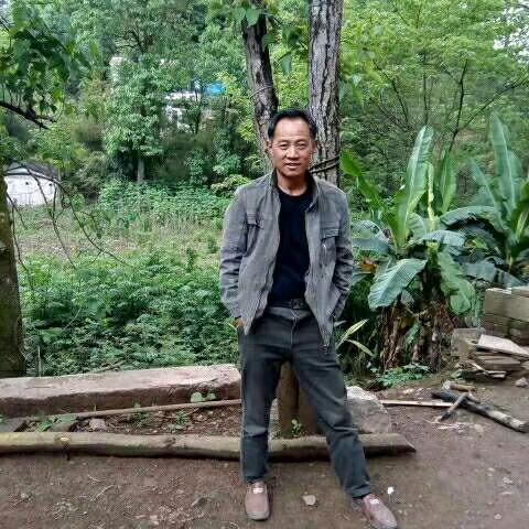 撸起袖子加油干